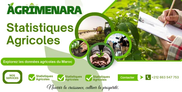 Agrimenara, statistiques des prix des fruits et légumes au maroc
