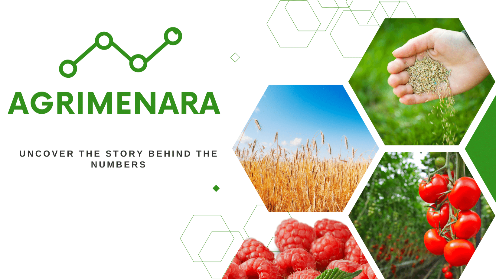 Agrimenara : Votre Portail Incontournable pour l'Agriculture Marocaine