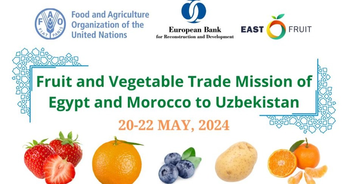 Fruit and Vegetable Trade Mission of Egypt and Morocco to Uzbekistan