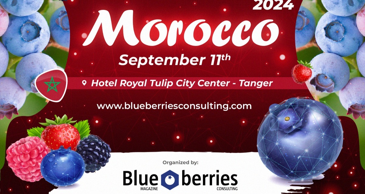 XXXIII Morocco Seminar 2024-Blueberry