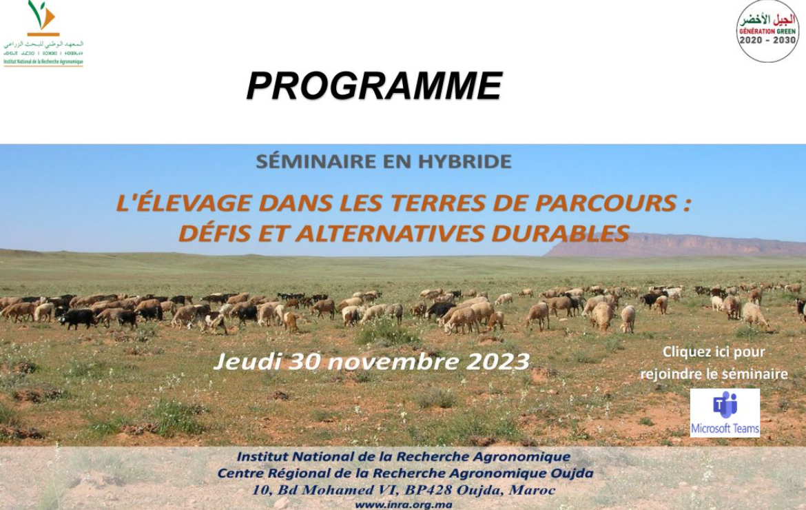 Séminaire hybride sur « l'élevage dans les terres de parcours : défis et alternatives durables » 