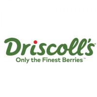 Maintenance & Services Supervisor Ã¢â‚¬â€œ Morocco North