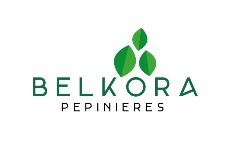 Phytiatre Expérimenté pour Collaboration