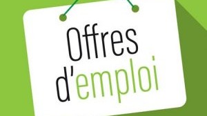 Offre d'emploi : 6 Profils Recherchés